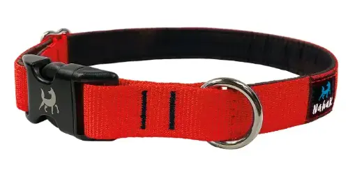 collier chien a clips