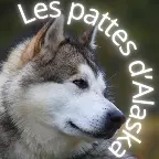 Les Pattes D'Alaska
